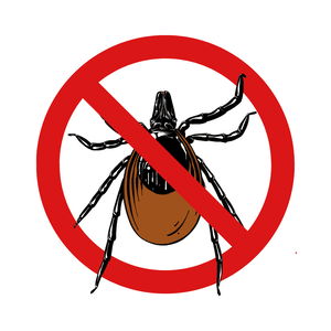 Противопаразитна грижа