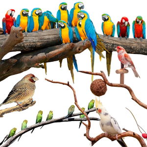 AVICENTRA за птици