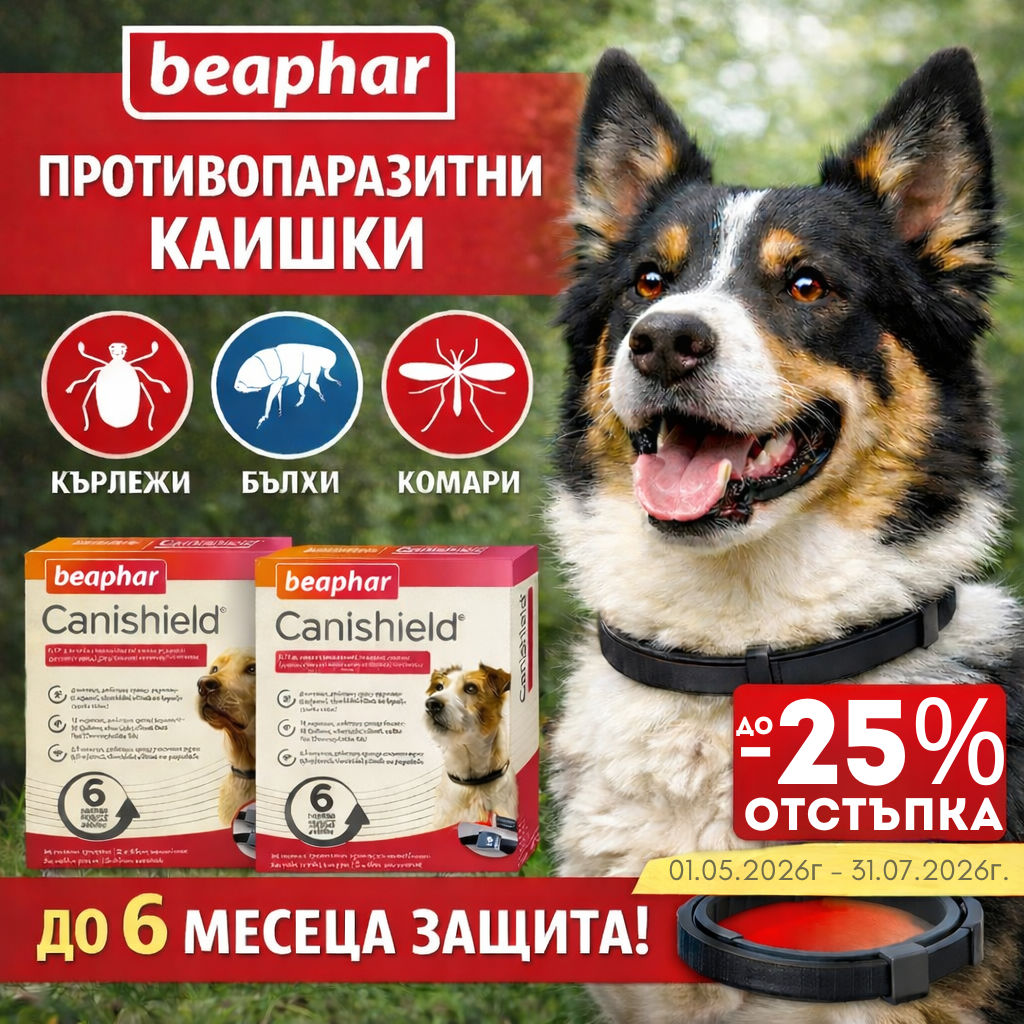 mobile carousel banner