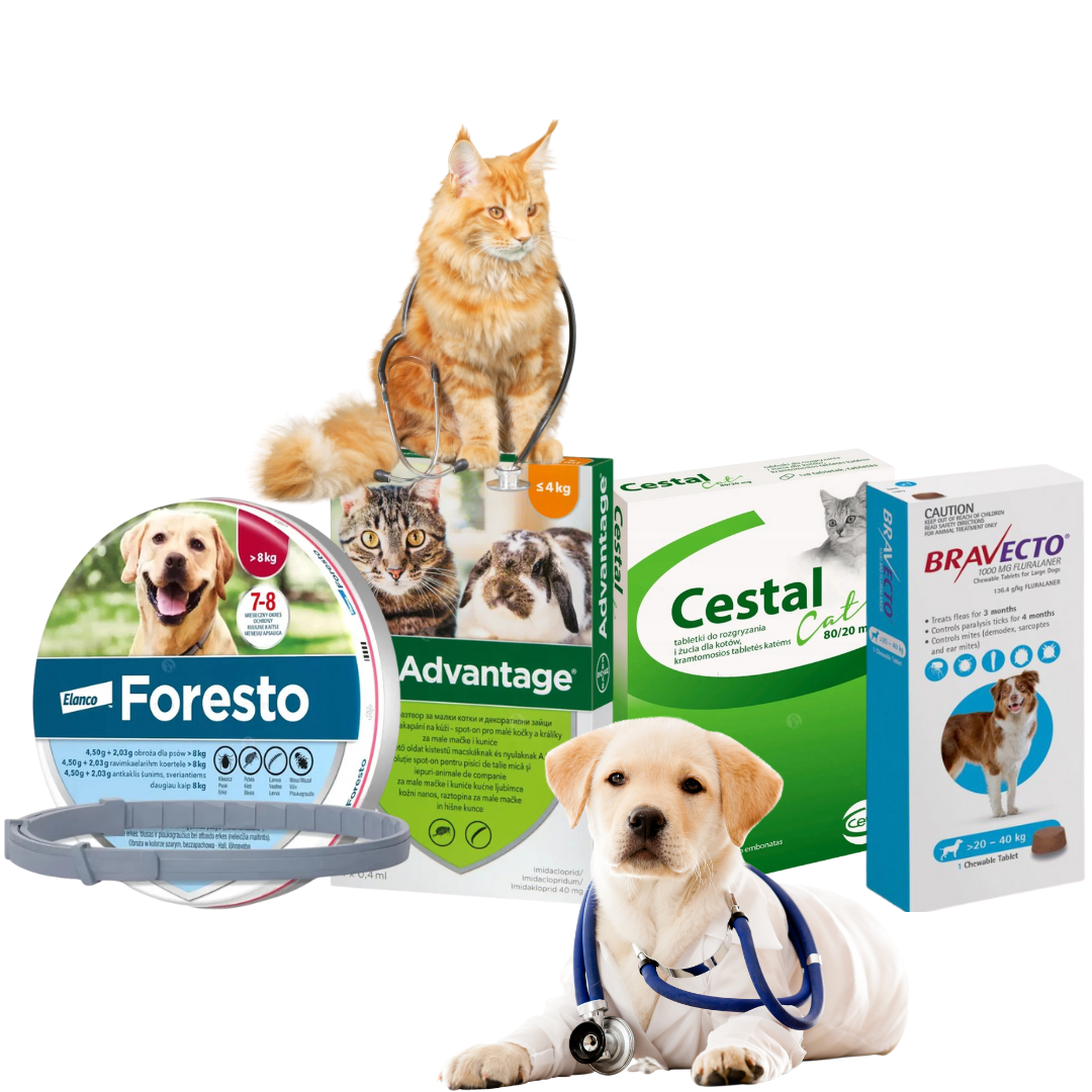 mobile carousel banner