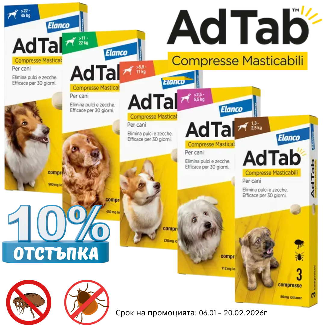 mobile carousel banner