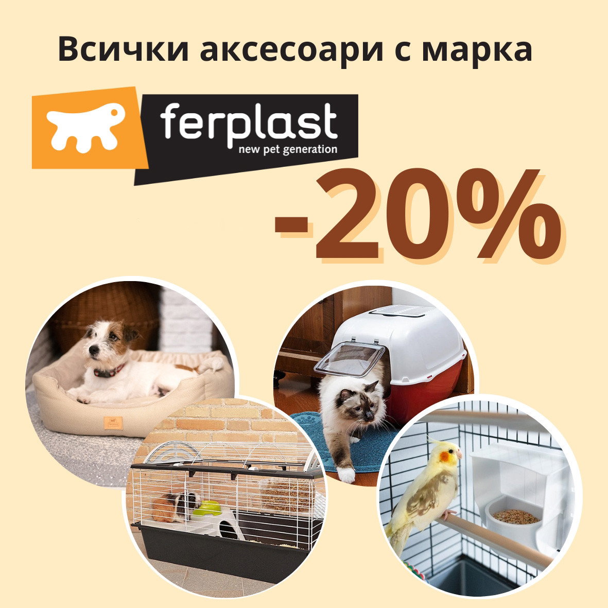 mobile carousel banner