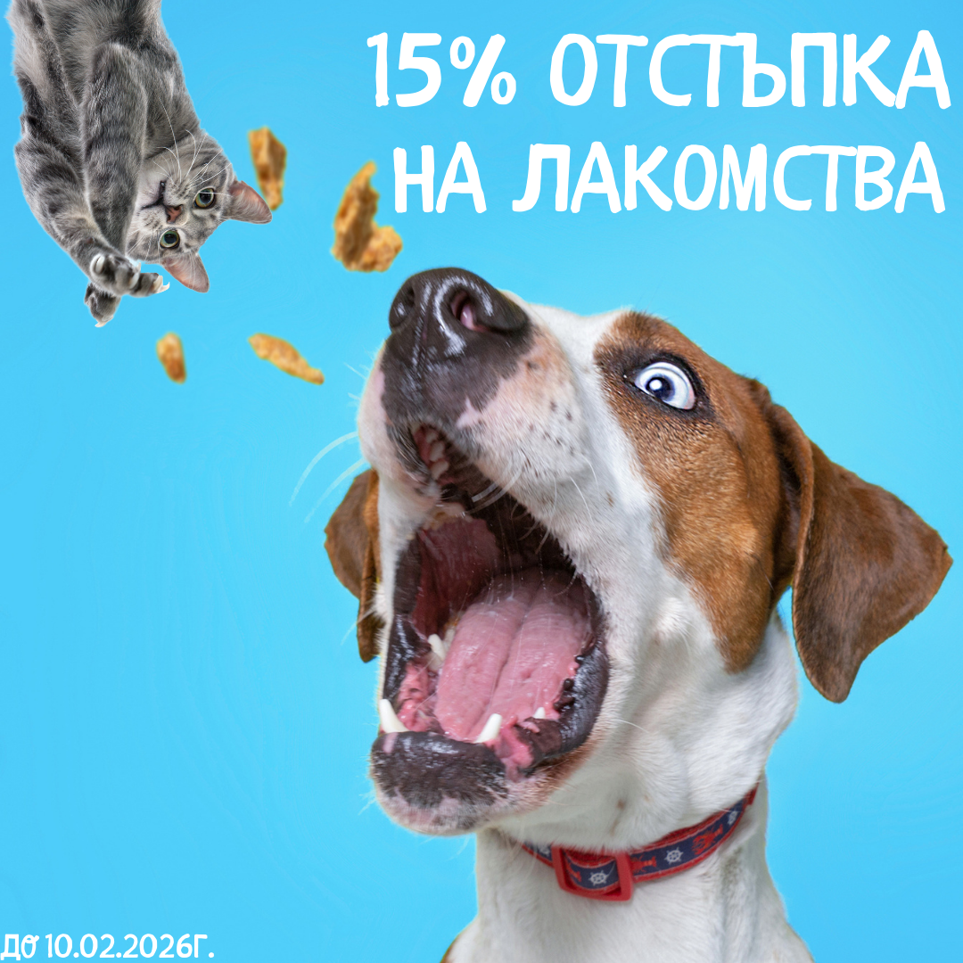 mobile carousel banner