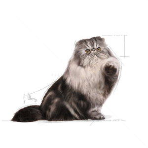 ROYAL CANIN® Persian 85 гр. пауч пастет