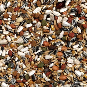 VERSELE LAGA Premium African Parrot 15 кг.
