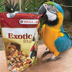 VERSELE LAGA Exotic Fruit 15 кг.