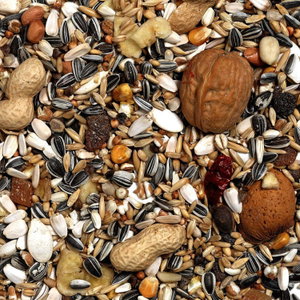 VERSELE LAGA Exotic Nut 0.750 кг.