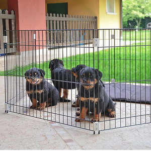 FERPLAST Dog Training 80х80х62 см