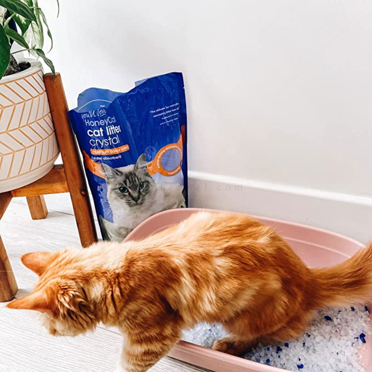 HONEY CAT 7.6 л. Силиконова тоалетна, алое вера