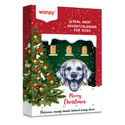 Коледен календар с лакомства за кучета WANPY Christmas Calendar 150 гр
