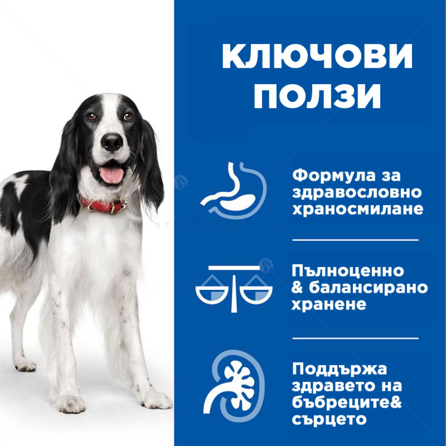 HILL'S Healthy Cuisine Adult 12x80 гр. Stew Chicken&Vegetables - паучове задушено със зеленчуци и пилешко месо