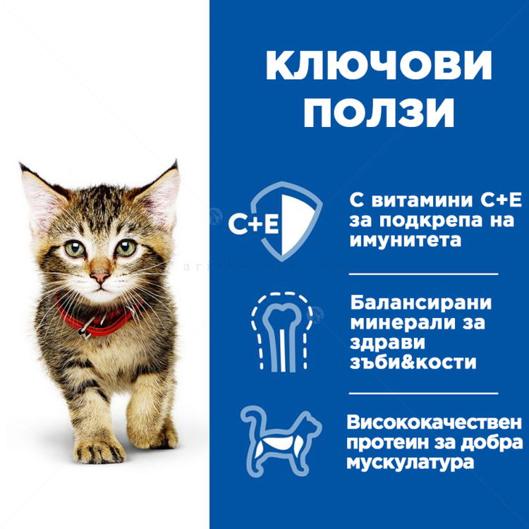 HILL'S Healthy Cuisine Kitten 80 гр. Stew Chicken - пауч за малки котенца, задушено със зеленчуци и пилешко месо