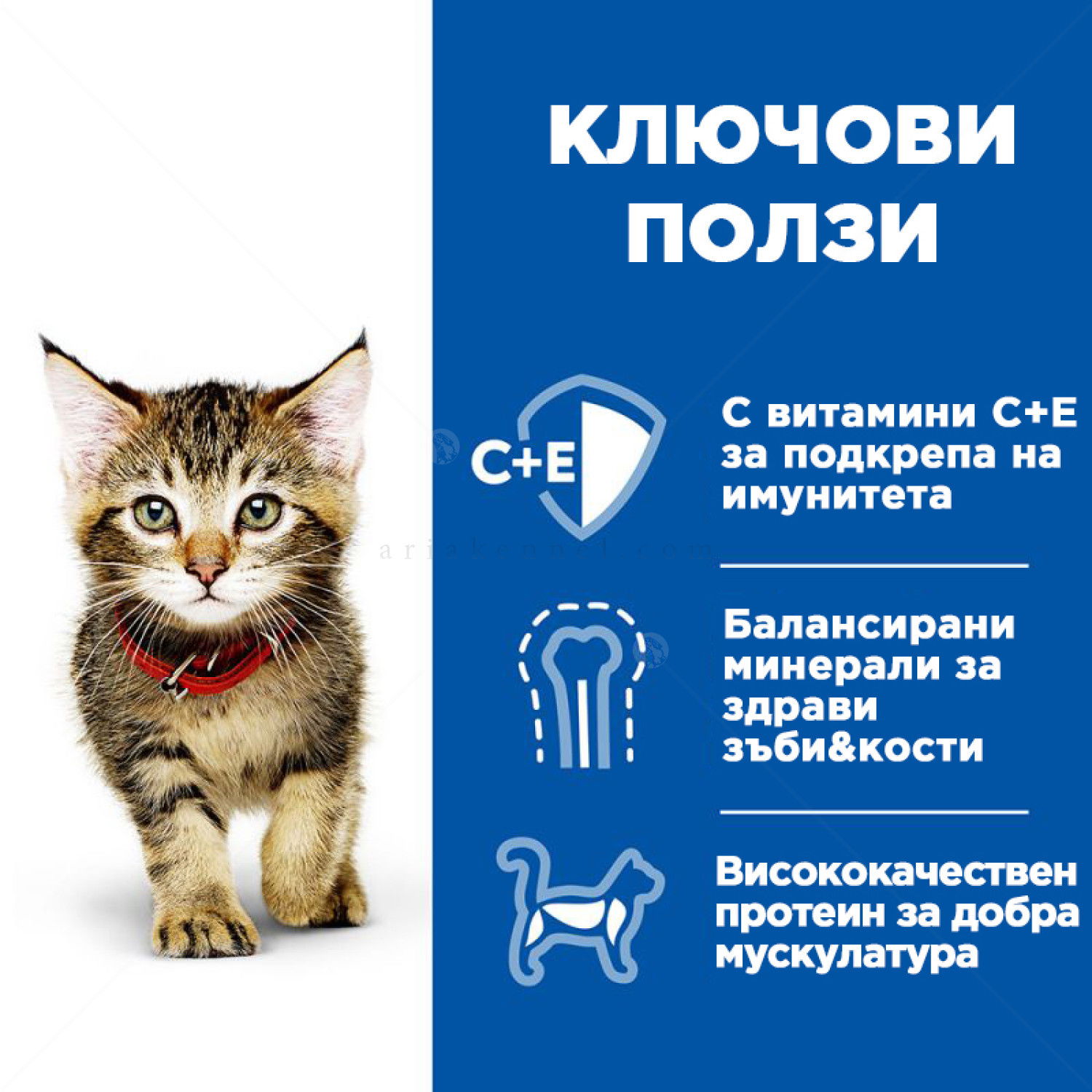 HILL'S Healthy Cuisine Kitten 12x80 гр. Stew Chicken - паучове за малки котенца, задушено със зеленчуци и пилешко месо