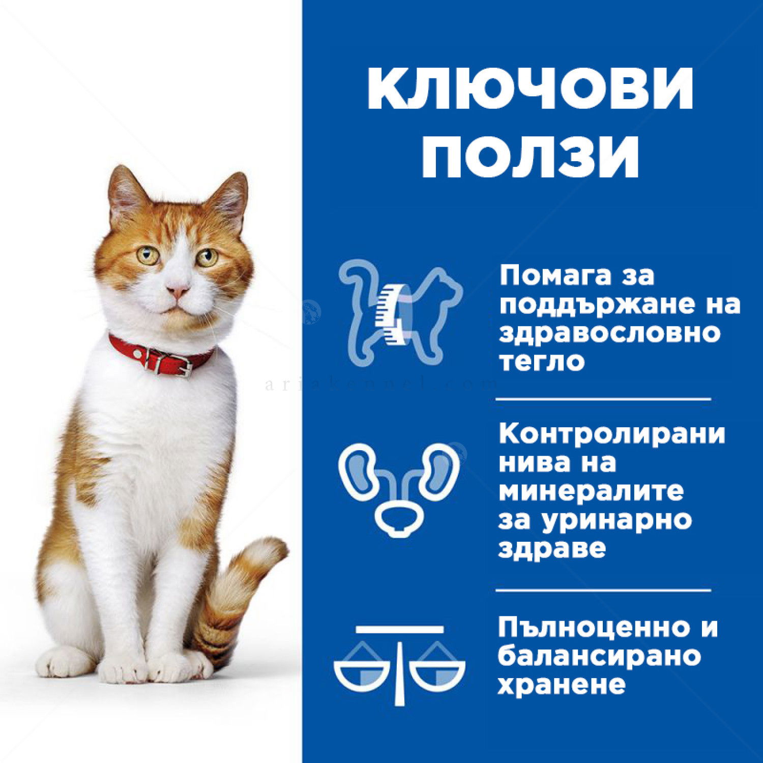 HILL'S Healthy Cuisine Sterilised Adult 80 гр. Stew Chicken - пауч за кастрирани котки, задушено със зеленчуци и пилешко месо