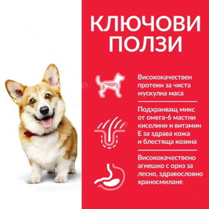 HILL’S SP 6 кг Adult Small&Mini Lamb