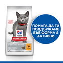 HILL’S SP 0.300 кг. Kitten Sterilised Chicken