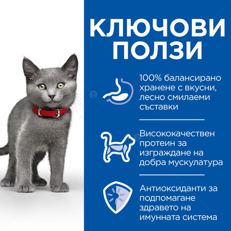HILL’S SP 1.500 кг. Kitten Sterilised Chicken