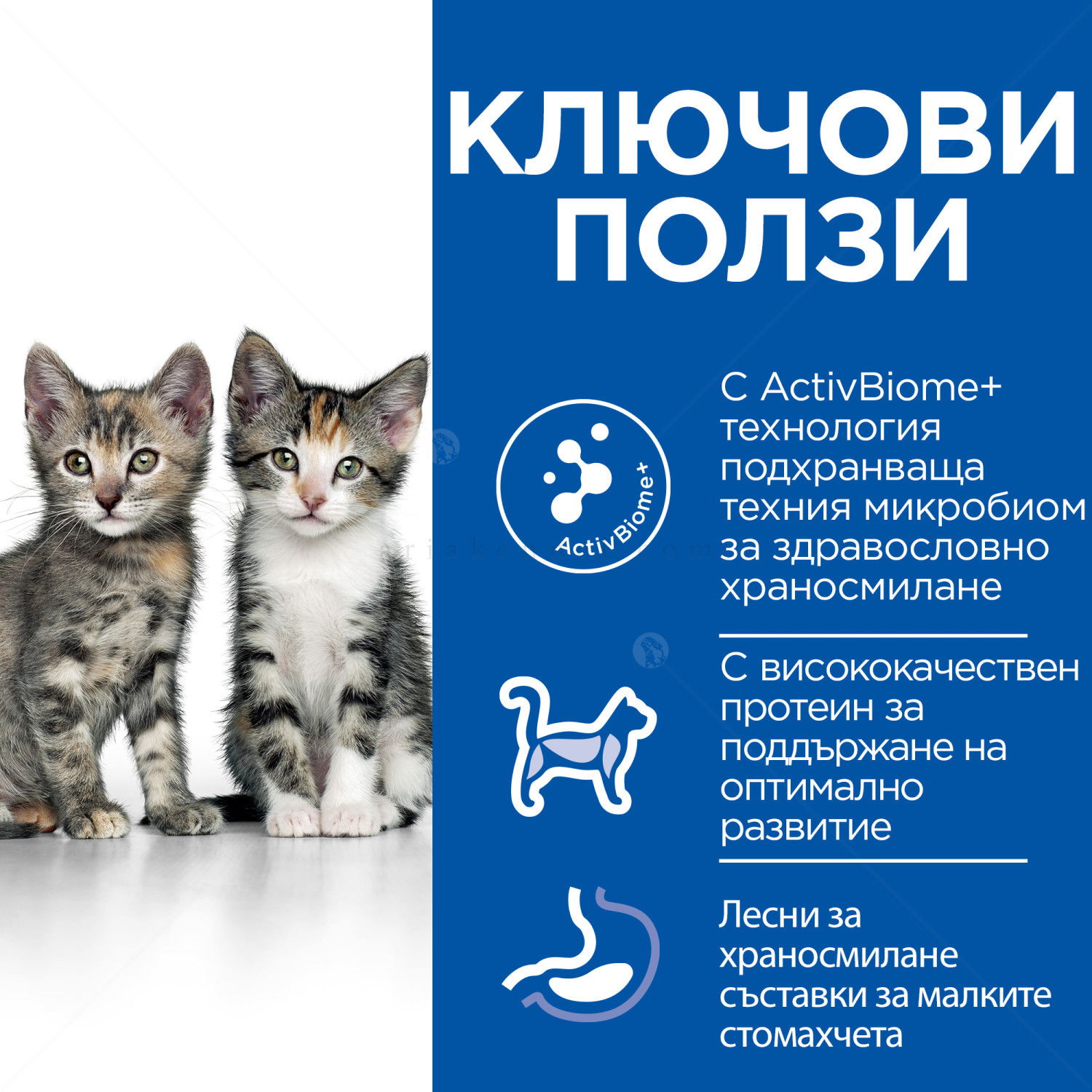 HILL’S SP 0.300 кг. Kitten Perfect Digestion Chicken