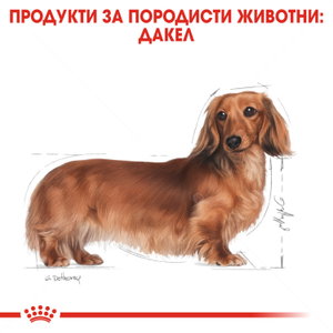 ROYAL CANIN Adult Dachshund - 1.500 кг