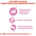 ПРОМО ROYAL CANIN® Kitten Pouch 4x85 гр. пастет, хапки в сос и в желе