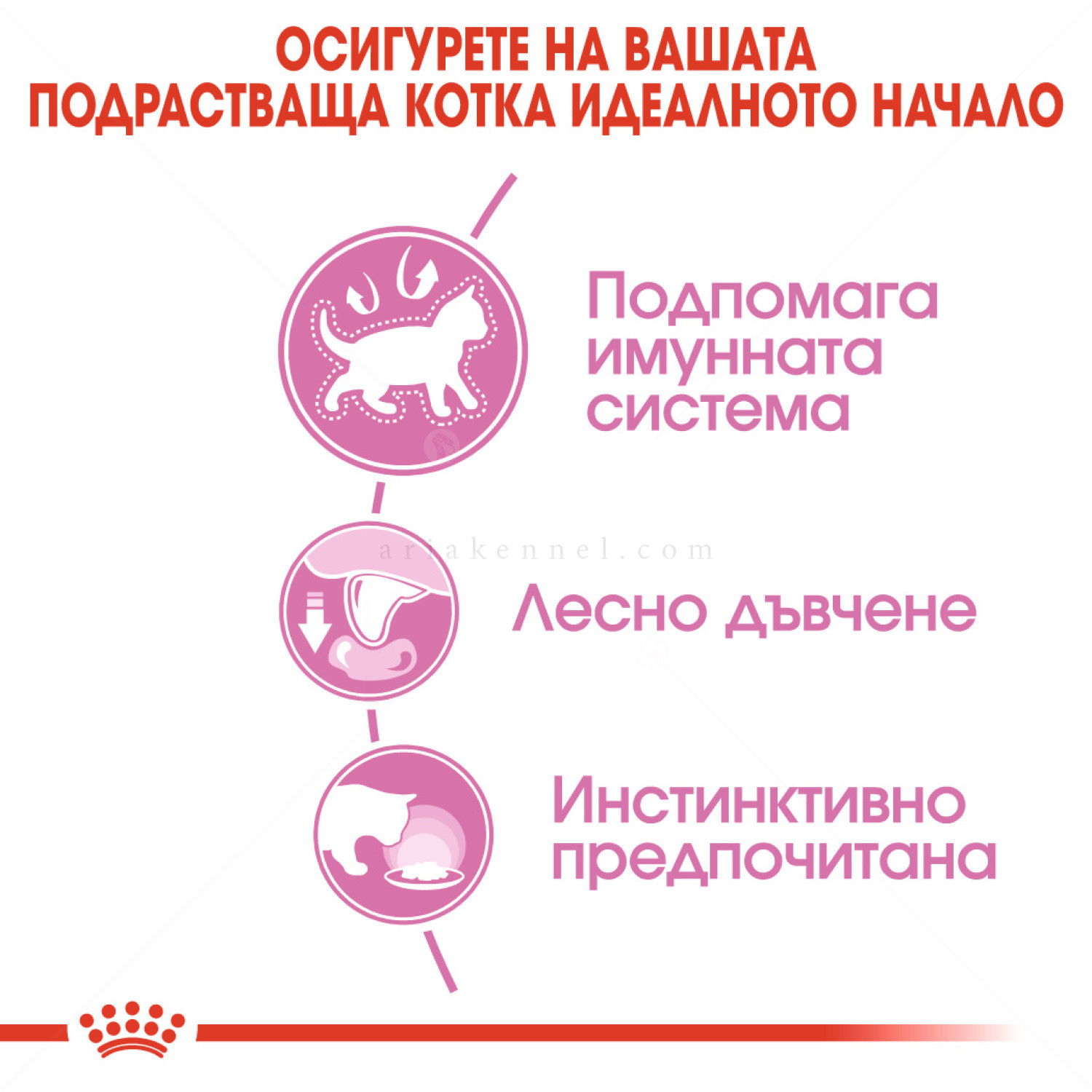 ПРОМО ROYAL CANIN® Kitten Pouch 4x85 гр. пастет, хапки в сос и в желе