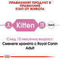 ПРОМО ROYAL CANIN® Kitten Pouch 4x85 гр. пастет, хапки в сос и в желе