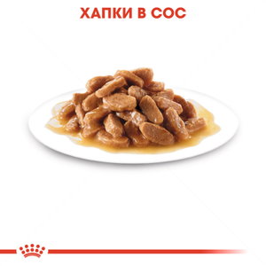 Паучове за подрастващи кученца от дребни породи ROYAL CANIN Mini puppy