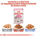 ПРОМО ROYAL CANIN® Kitten Pouch 4x85 гр. пастет, хапки в сос и в желе
