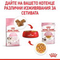 ПРОМО ROYAL CANIN® Kitten Pouch 4x85 гр. пастет, хапки в сос и в желе