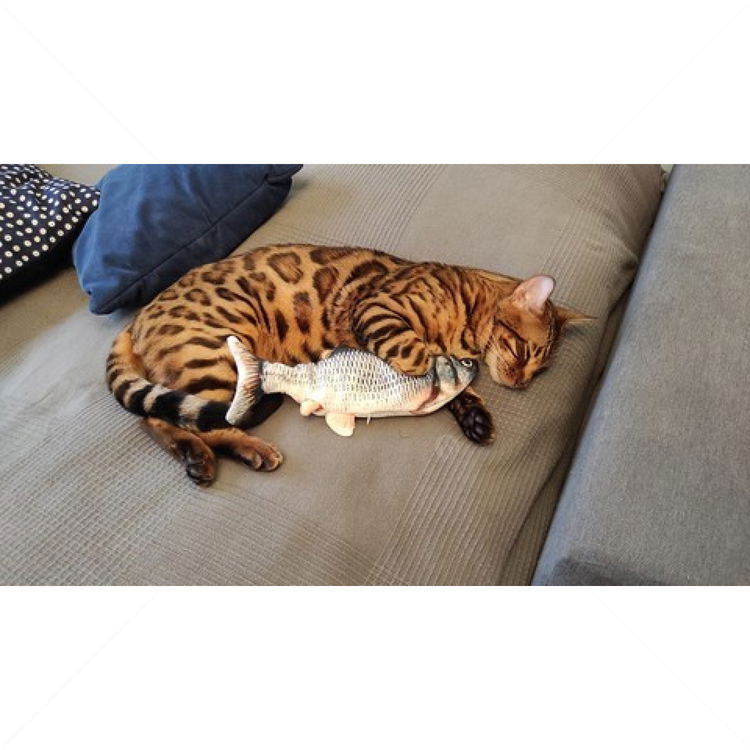 Интерактивна риба PURLOV, подскачаща