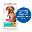 HILL’S SP 0.250 кг Adult Small&Mini Perfect Weight