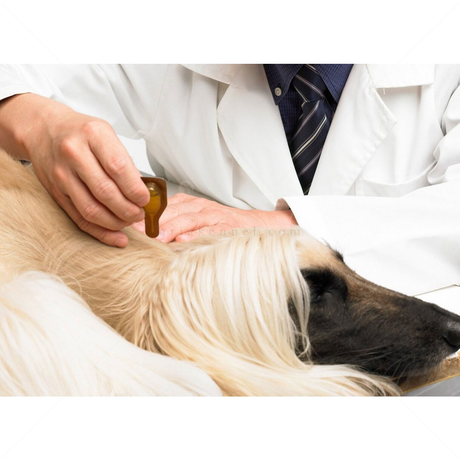 DERMOSCENT Atop 7 Spot on Dog 4 пипети x 1,2 мл