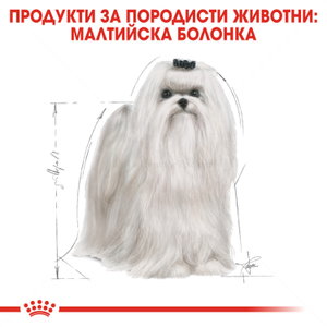 ROYAL CANIN Adult Maltese - 1.500 кг