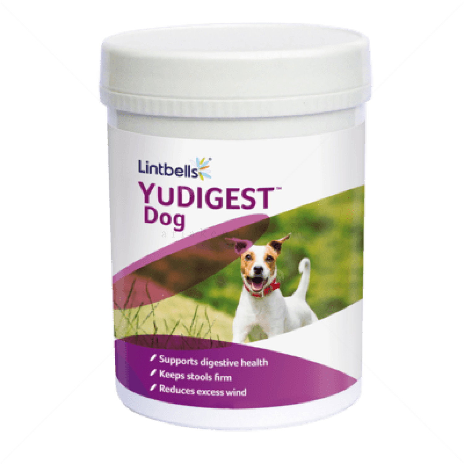 Lintbells YuDIGEST Dog 300 таблетки