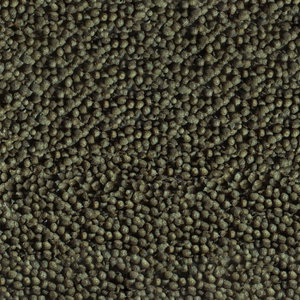 SERA Goldy Color Spirulina Nature 10000 мл