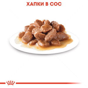 ROYAL CANIN® Digest Sensitive 85 гр. пауч в сос грейви