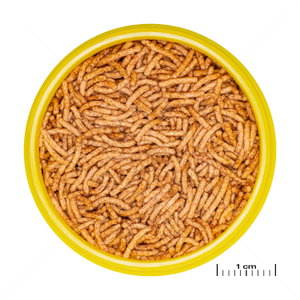 JBL Pronovo Beta Insect Stick S, 20 мл