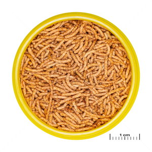 JBL Pronovo Red Insect Stick S, 100 мл