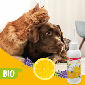 Лосион за уши с био лимон, лавандула и алое BEAPHAR Bio Ear Cleaner