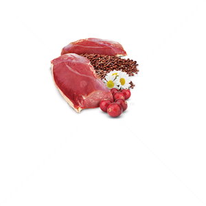 N&D Cat Quinoa Urinary 80 гр