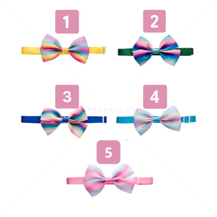 FERRIBIELLA Папийонка Дъга