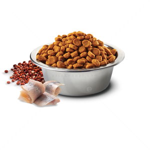 N&D Dog 7 кг Quinoa Mini Skin&Coat Herring, coconut and turmeric