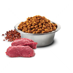 N&D Dog 7 кг Quinoa Mini Skin&Coat Venison, coconut and turmeric