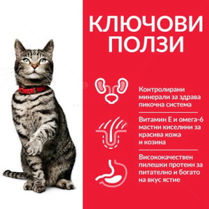 HILL’S SP 0.300 кг. Adult Urinary Health Chicken