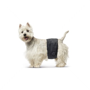 Пелени за мъжки кучета S, SAVIC Male Comfort Nappy