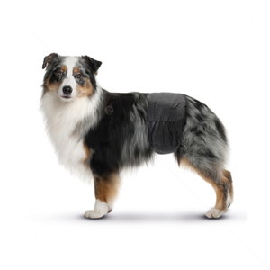 Пелени за мъжки кучета M, SAVIC Male Comfort Nappy
