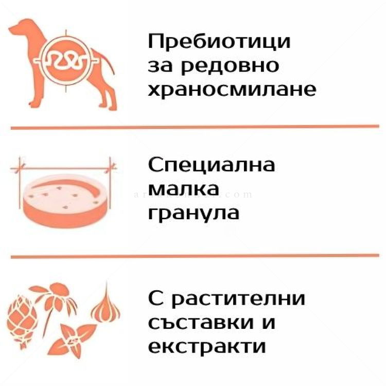 MONGE Monoprotein Mini Adult 2.500 кг Salmon & Rice