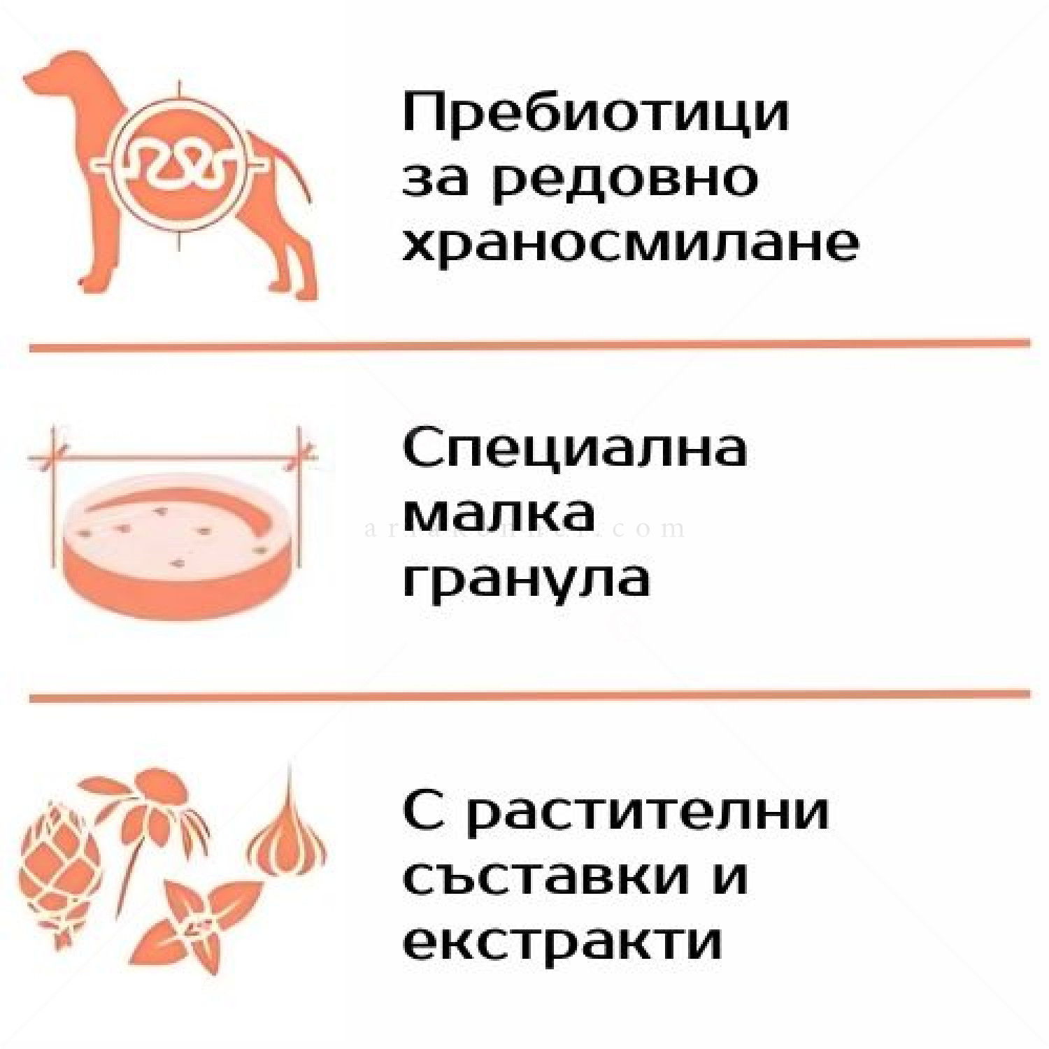 MONGE Monoprotein Mini Adult 2.500 кг Salmon & Rice