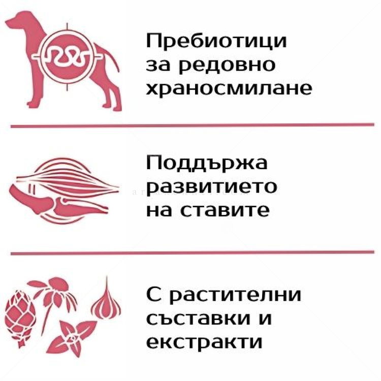 MONGE Monoprotein All Breeds Puppy 2.500 кг Beef & Rice