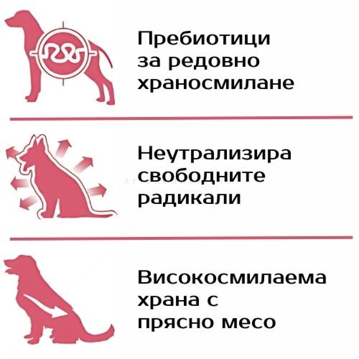 MONGE Monoprotein All Breeds Adult 2.500 кг Beef & Rice